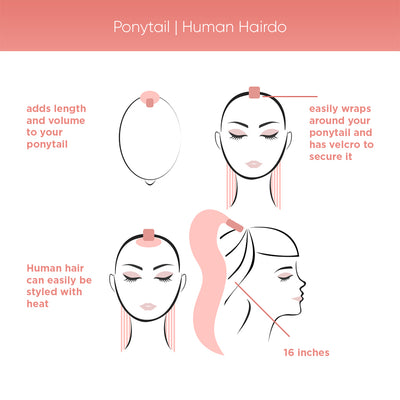 Ponytail | Human Hairdo