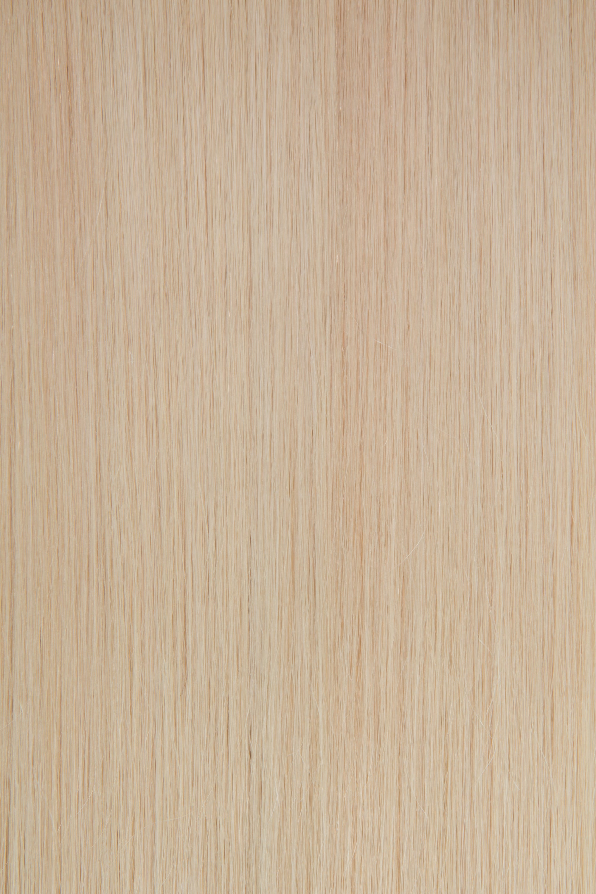 BBH Volumizer | Skinny Net Topper