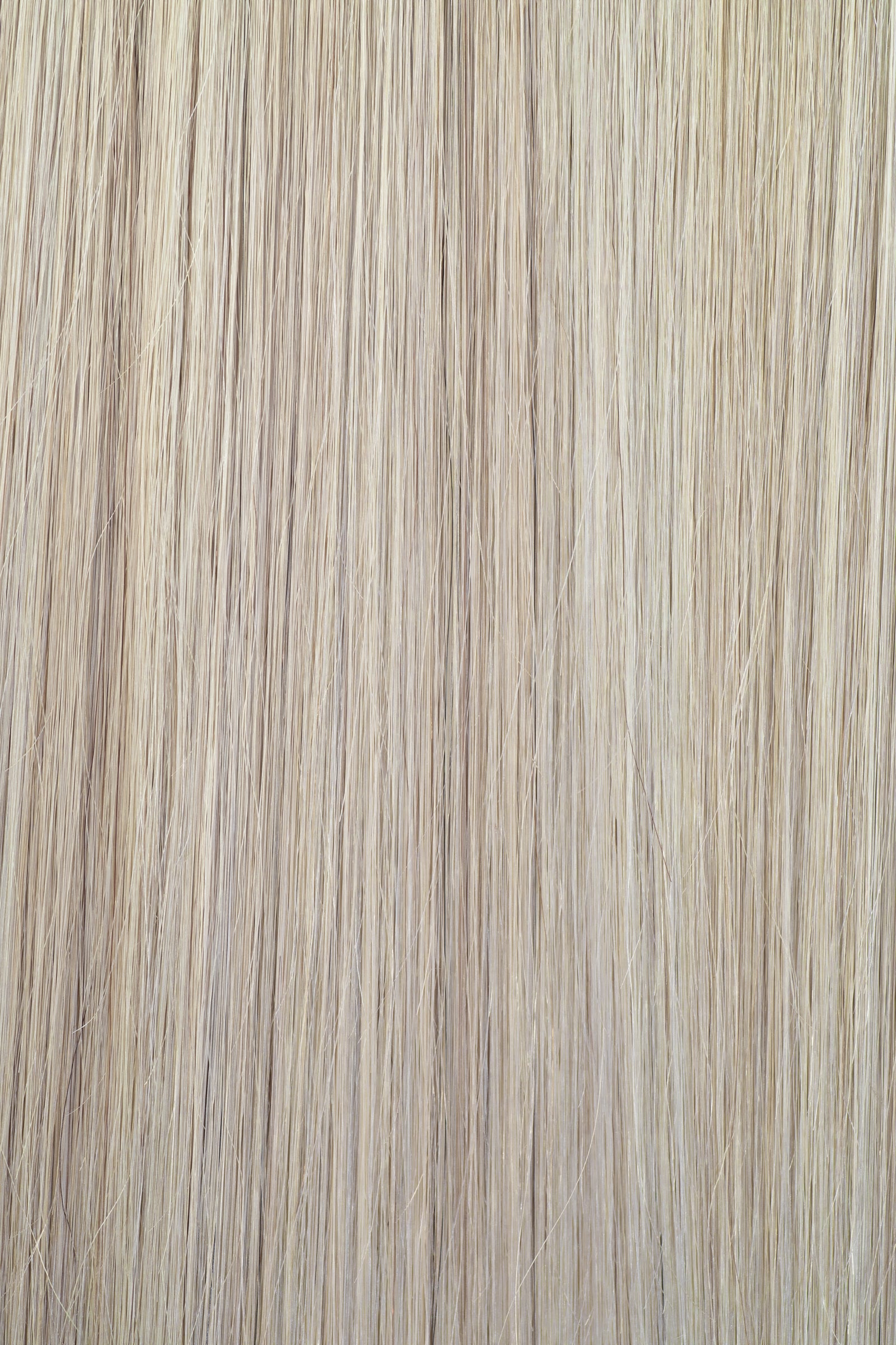 BBH Volumizer | Skinny Net Topper