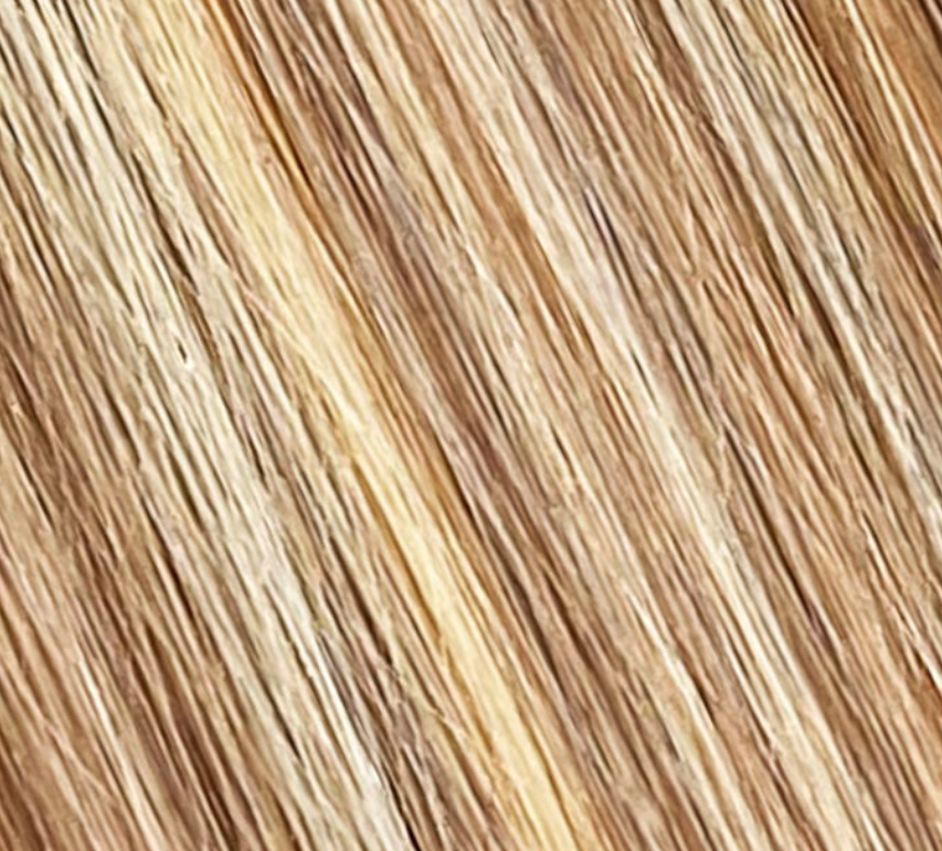 BH| Silk Seam Seamless Clip In Set