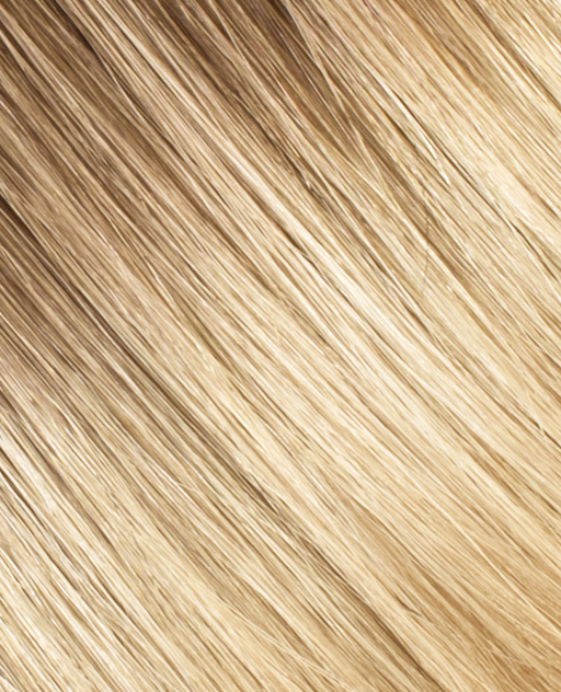 BH| Silk Seam Seamless Clip In Set