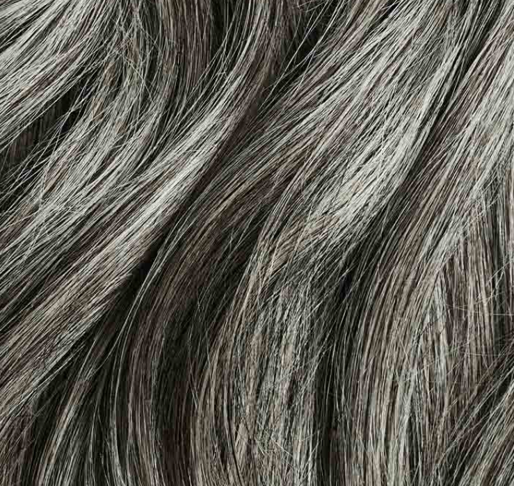 LXYHAIR Classic Clip-INS