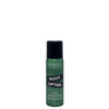 Redken Guts Root Lift Spray Volumizing Foam