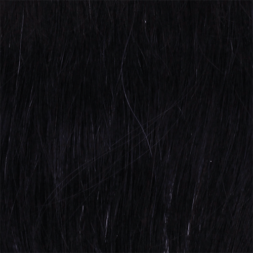 Halo Extensions - Invisible Extension